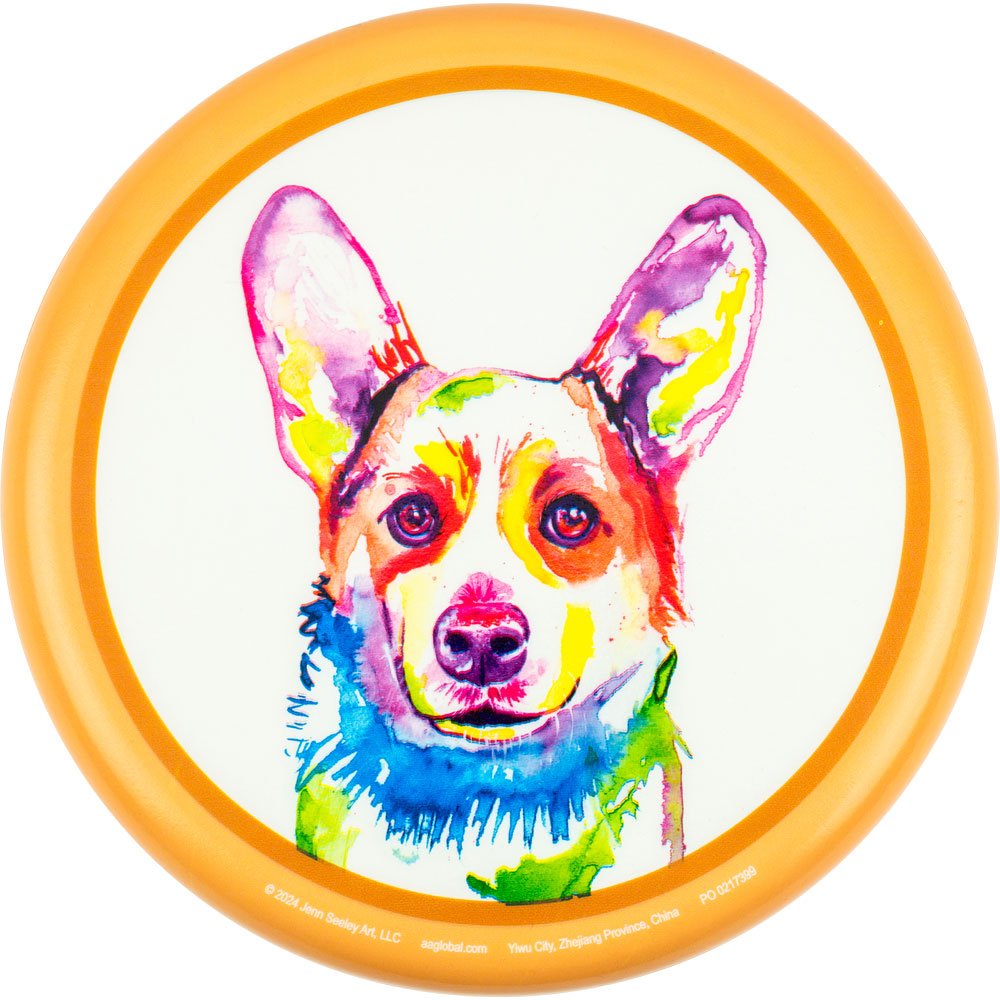 CS4111-corgi_L
