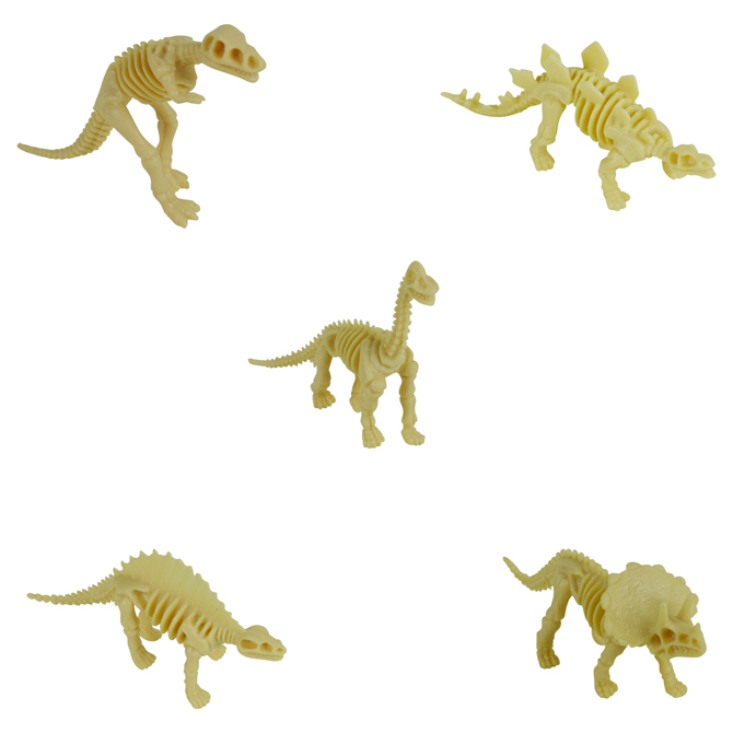 DINOSKEL-1.jpg
