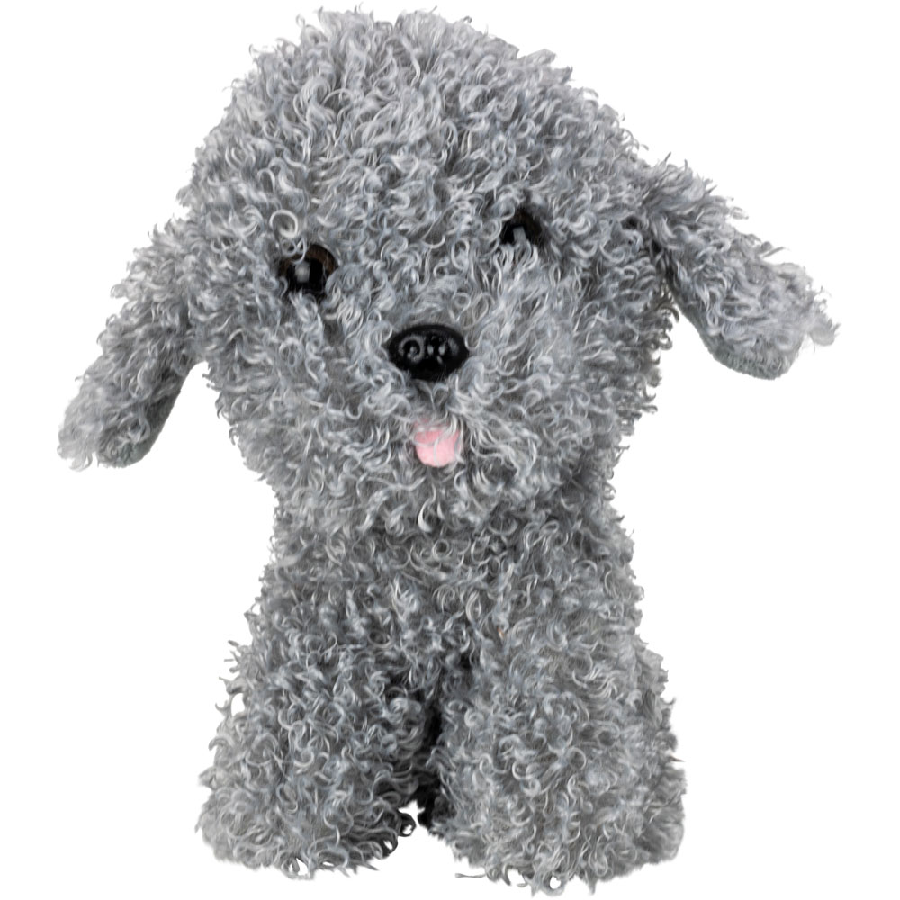1GPOODLE-3.jpg