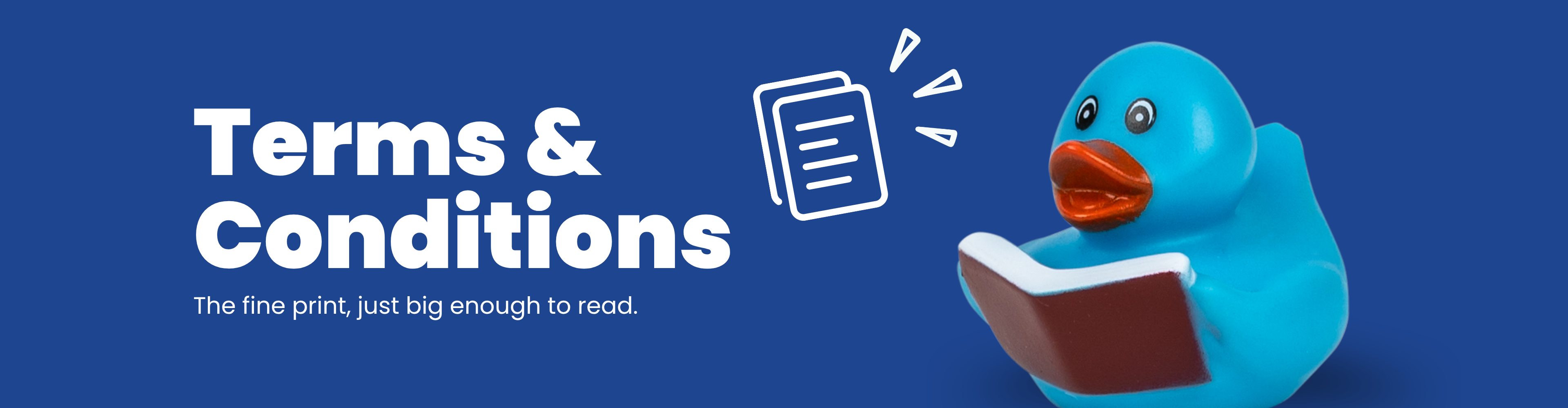 Terms & Conditions