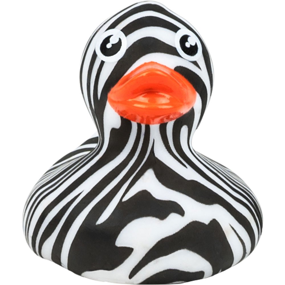 RUD33B-zebra_L