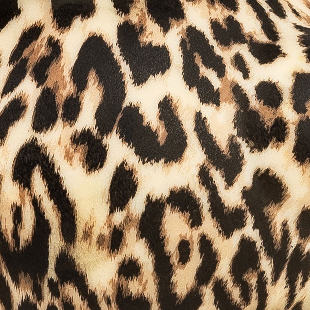 RUD16B-cheetah_L