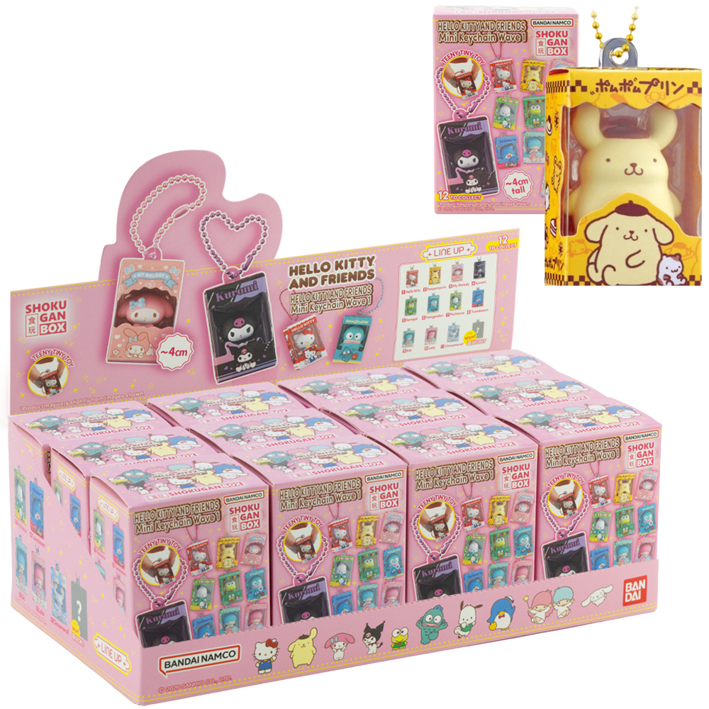 Sanrio Shougan Box Collection Wave 1 (12pcs)