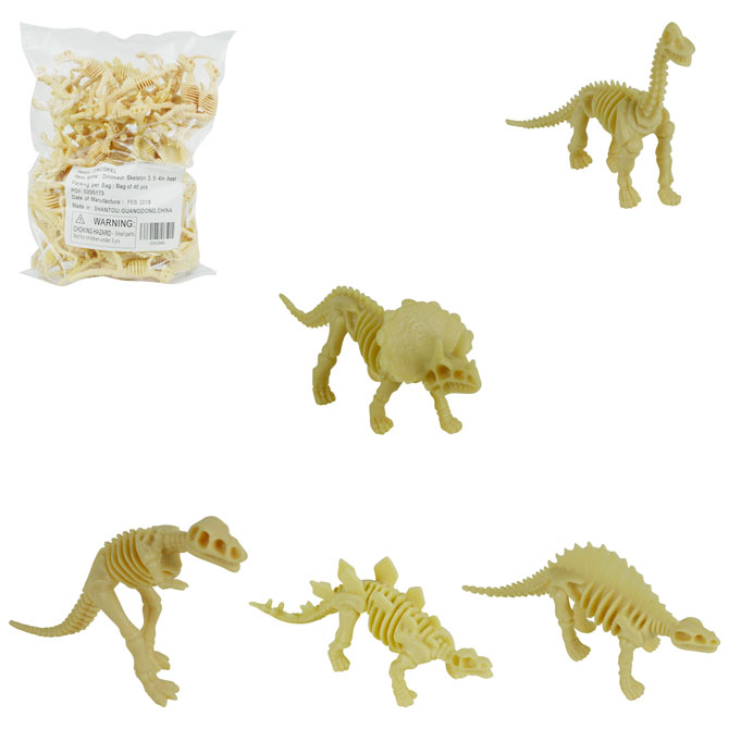 DINOSKEL-main.jpg