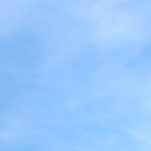 af1004.gif