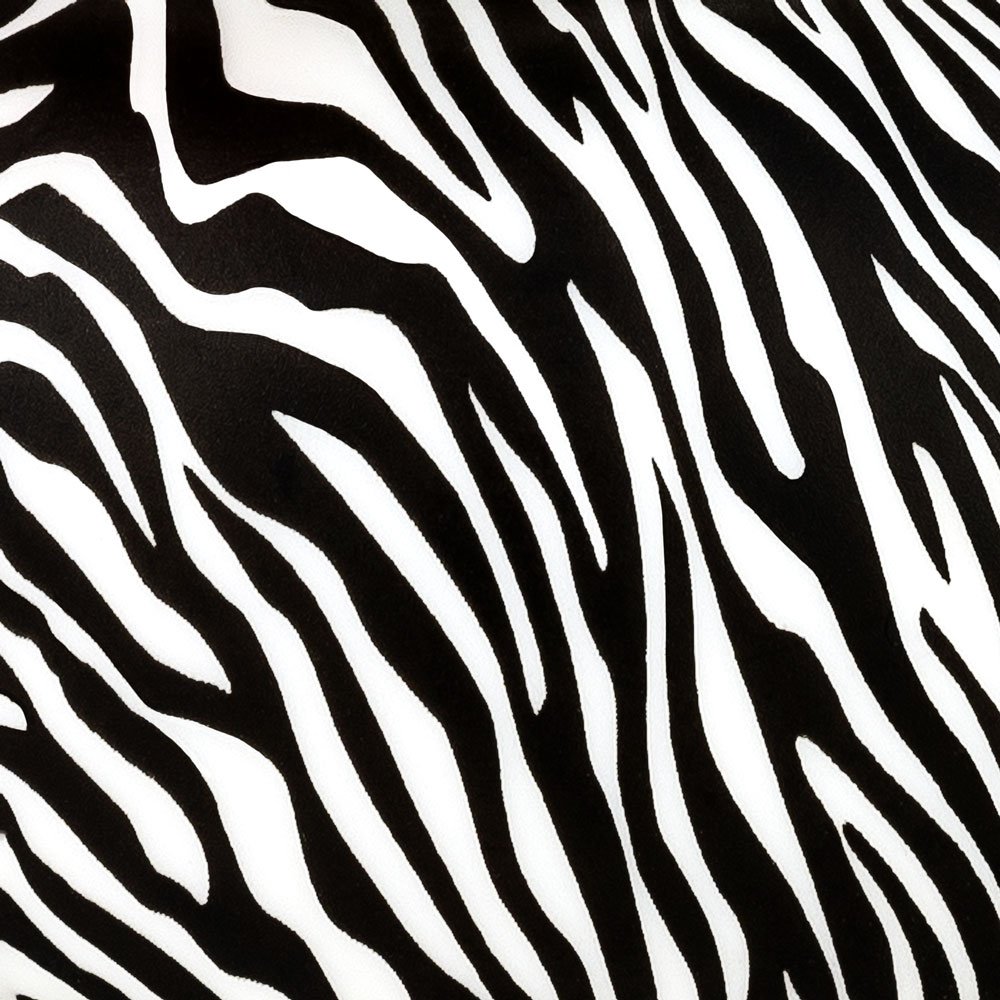RUD16B-zebra_L