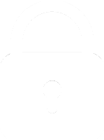 Secure checkout